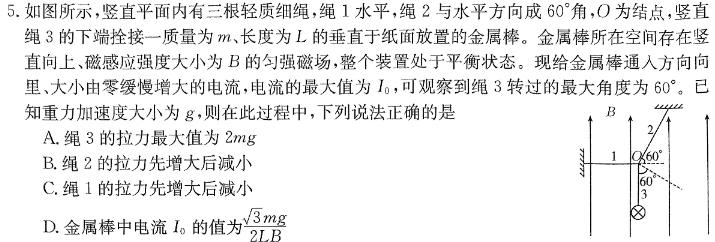 [今日更新]2024年河南省重点中学内部摸底试卷（二）.物理试卷答案