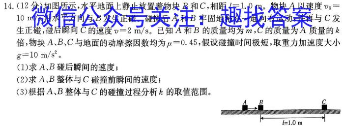 江西省赣州市2024年高三年级摸底考试(2024年3月)物理试卷答案