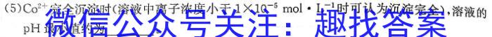 q安徽省2023-2024学年九年级第一学期阶段练习四化学