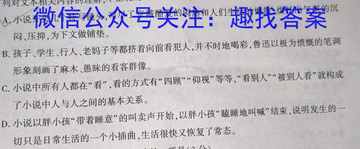 江西省景德镇市乐平市2023-2024学年度上学期九年级期末学业评价/语文