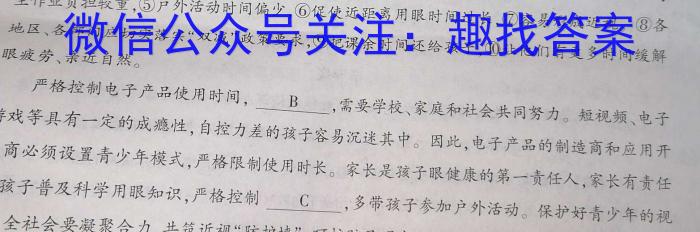 安徽省2024年中考总复习专题训练 R-AH(九)9语文