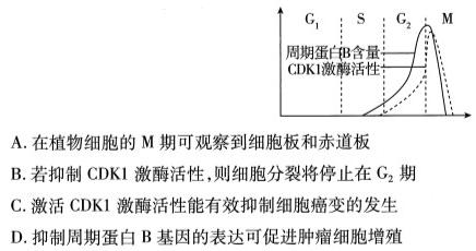 榆林市2024学年高一下学期期末试卷生物