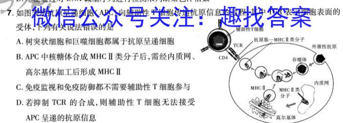 济南市2024年1月高一期末学习质量检测生物学试题答案