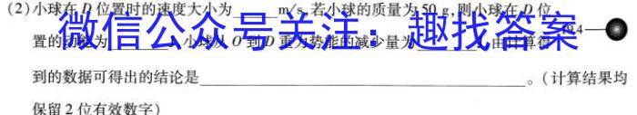 河北省2024届九年级考前适应性评估(二) 6L Rh物理