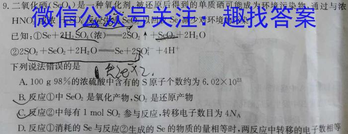 q河南省2023-2024学年度九年级第三次12月月考（三）化学