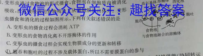 2024届智慧上进 名校学术联盟 高考模拟信息卷押题卷HN(十一)生物学试题答案