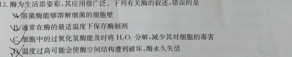 NT教育·2024-2025学年高二年级9月入学摸底考试生物学部分