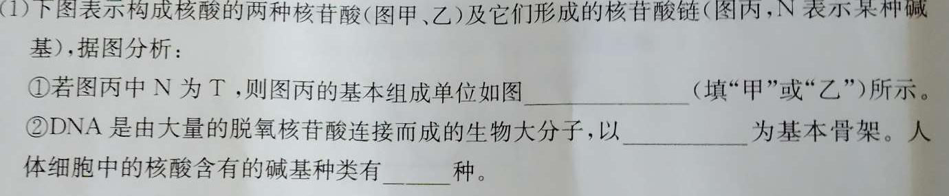  1号卷·2024年中考智高点·预测卷（二）生物学试题答案