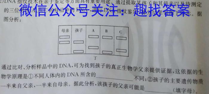 河南省2023-2024学年八年级下学期阶段性评价卷四生物学试题答案