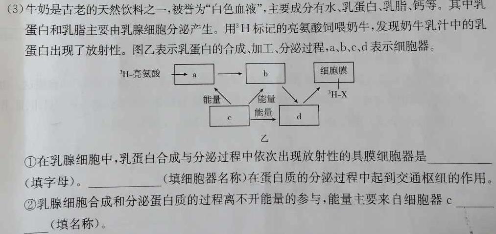 山西省太原市2023-2024学年第二学期高二年级期末学业诊断生物