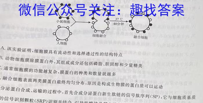 2024届邯郸市高三第四次调研考试生物学试题答案