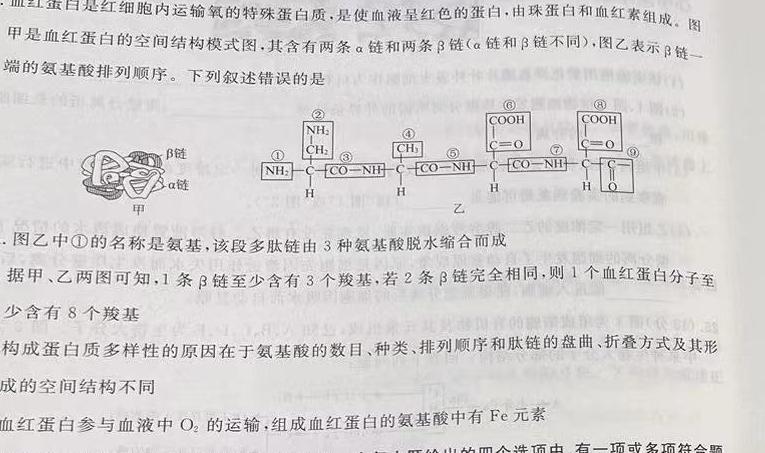 黑龙江省海伦七中2023-2024高一下学期期末考试(9249A)生物学部分