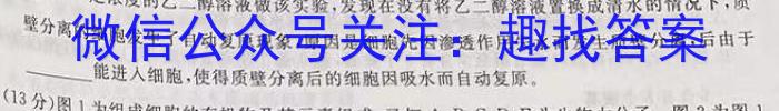 安徽省合肥市庐江县2023-2024学年度第二学期八年级期中练习生物学试题答案