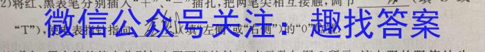 衡水大联考·河北省2025届高三年级摸底联考物理试卷答案