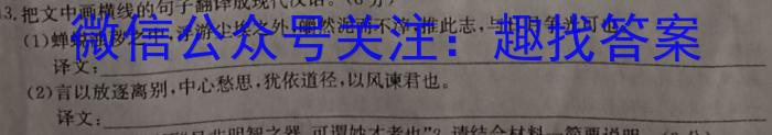 [潍坊一模]2024届潍坊市高考模拟考试(3月)语文