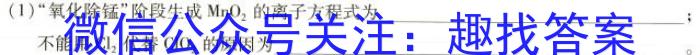 q安徽省阜阳市2023-2024学年度八年级第三次月考检测（三）△化学