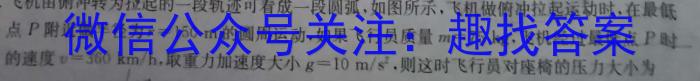 湖南省2024年初中学业水平考试模拟试卷物理`