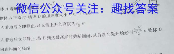 2024年学年第一学期浙南名校联盟返校联考（高二年级）物理试卷答案