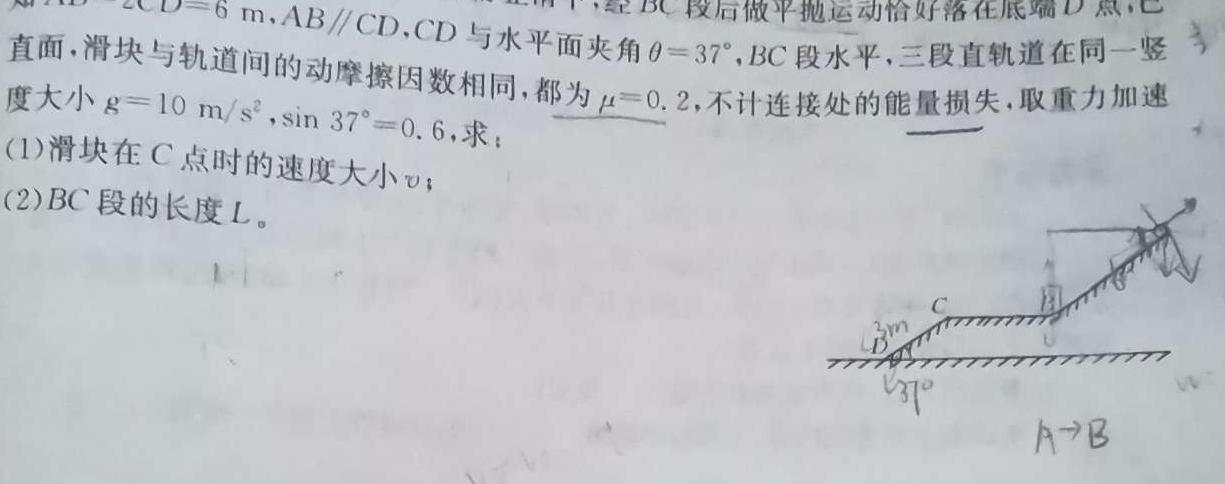 2024届重庆市高三考试12月联考(24-210C)物理试题.