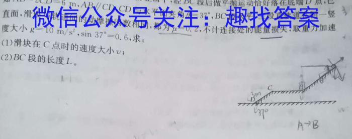 江西省2024年七年级《学业测评》分段训练（五）物理`