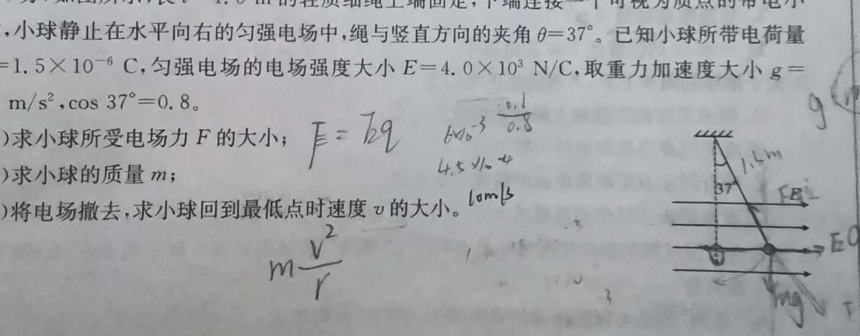 [今日更新]河南省驻马店市2023-2024学年高一第一学期期终考试.物理试卷答案