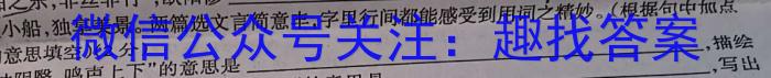 2024年普通高等学校招生全国统一考试金卷(二)2语文