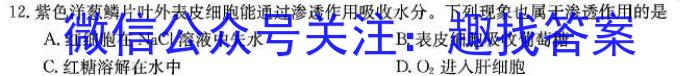 2024年5月[济南三模]高三模拟考试生物学试题答案