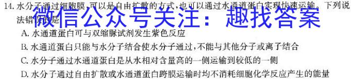 湖北省2024年高一9月月考生物学试题答案