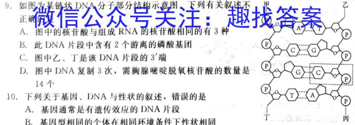 九师联盟·2023-2024学年度高二年级下学期2月开学考试生物学试题答案