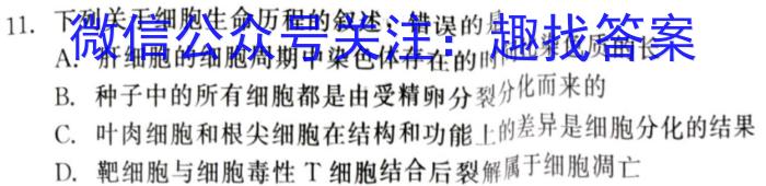 山东省济宁市2023-2024学年度第二学期高二质量检测(2024.07)生物学试题答案