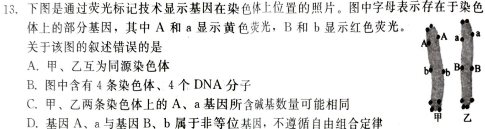 天一小高考2024-2025学年(上)高三第一次考试生物