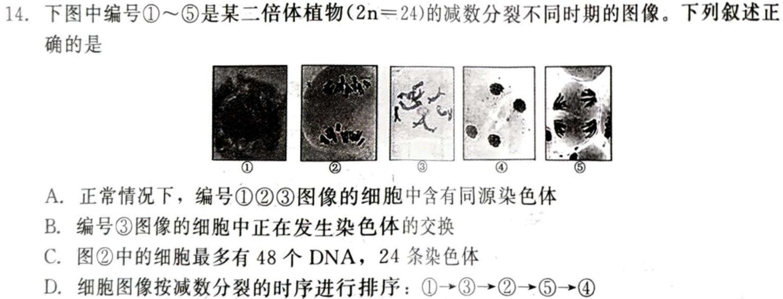 陕西省2024年初中学业水平考试冲刺(一)1生物