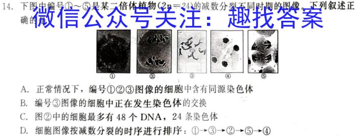 安徽省2024年中考总复习专题训练 R-AH(四)4生物学试题答案