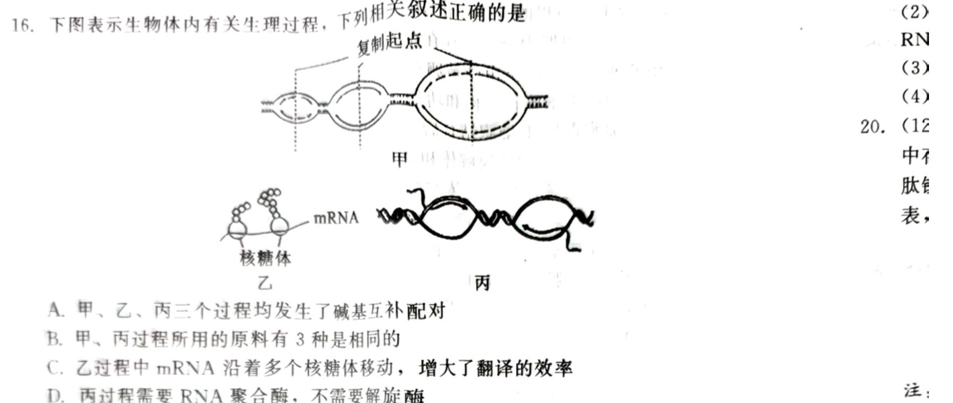 安徽省舒城县2023-2024学年度第一学期八年级期末质量监测生物学部分