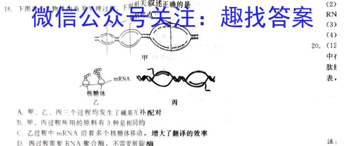 全国名校大联考 2023~2024学年高三第七次联考(月考)试卷XGK-C答案生物学试题答案