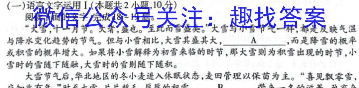 安徽省2023-2024学年度第一学期九年级期末质量检测试卷/语文