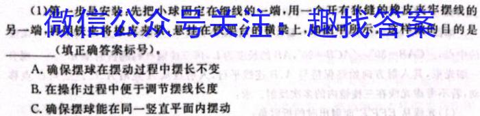 广西省2023-2024学年度第二学期高二年级4月联考物理试卷答案