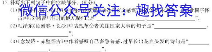 江苏省2023-2024学年度第二学期联盟校第一次学情调研检测高一年级语文