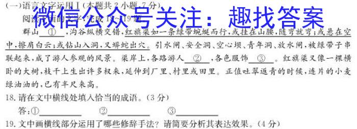 安徽省2024年九年级教学质量检测考试语文