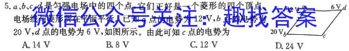 鹤壁市2023-2024学年下期高一教学质量调研测试物理试卷答案