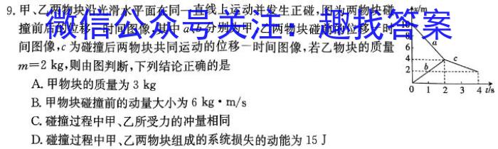 九师联盟·河南省2023-2024学年第二学期高一期末联考物理试题答案