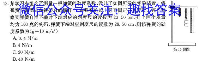 河北省2024年九年级5月模拟(五)物理试卷答案