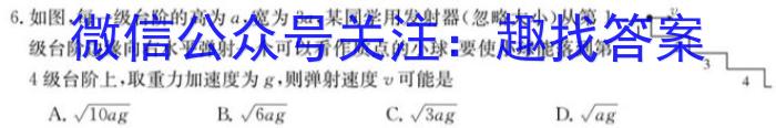 2024年湖南省普通高中学业水平选择性考试冲刺压轴卷(二)2物理试卷答案