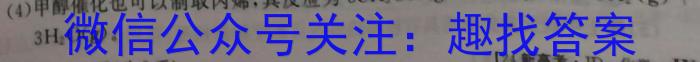 q2024年普通高等学校招生统一考试模拟信息卷(123456)化学