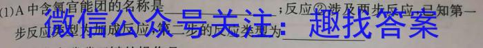 j山东高中名校2024届高三上学期统一调研考试(2023.12)化学试卷答案