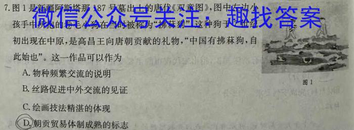 2024年普通高中考试信息模拟卷(六)历史试卷