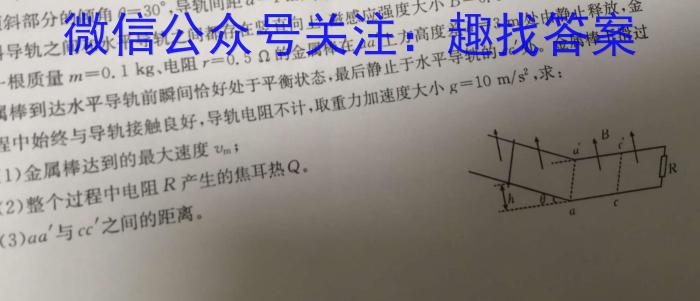 伯乐马 2024年普通高等学校招生新高考模拟考试(九)9物理试卷答案