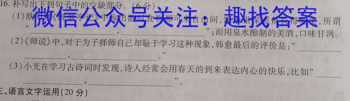 天一大联考 安徽省2023-2024学年(上)高二冬季阶段性检测/语文