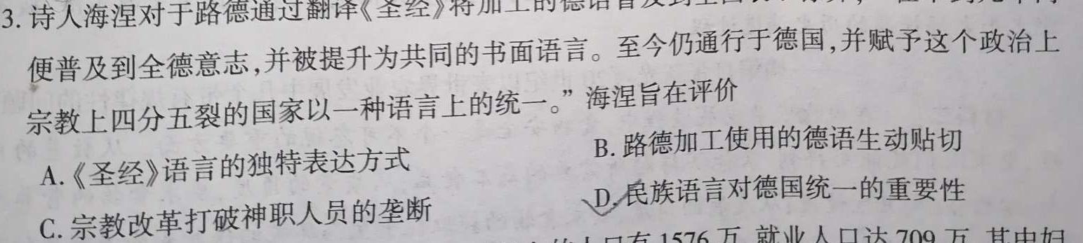 安徽省2024年九年级教学质量检测(CZ147c)历史