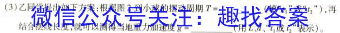 九师联盟 2024届高三押题信息卷(一)1物理`